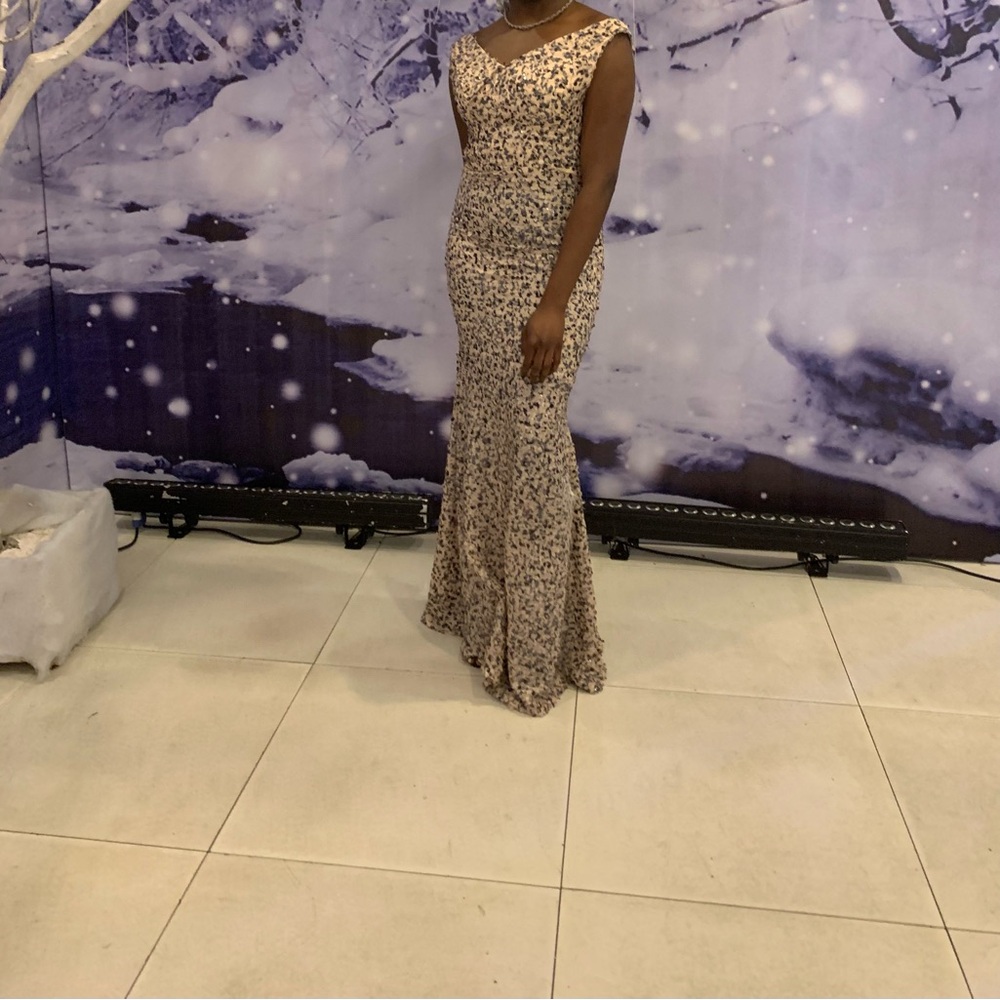 Elegant Sequined Silver Blush Gray Maxi Dress